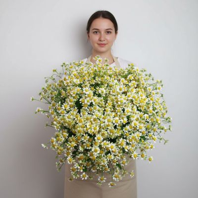 Моно букет цветов № 574