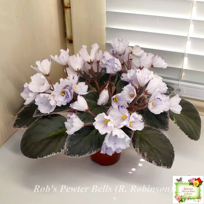 Rob's Pewter Bells (R. Robinson) 07/06/1992