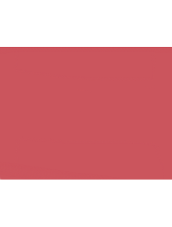 Колеровочная паста Palizh Полимер RAL 3017 Rose Роза 50 г УЦЕНКА