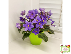 Winnie The Pooh (LLG/Sorano) (пасынок-стартер укоренённый)