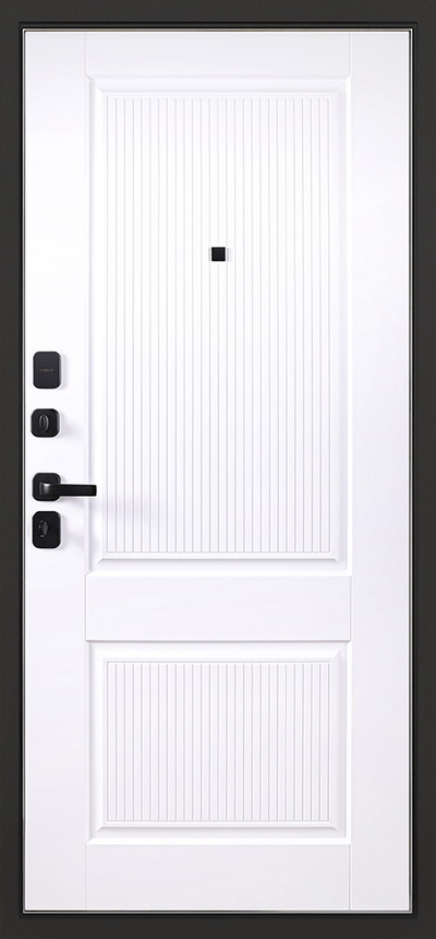 Стальная дверь   Scandi