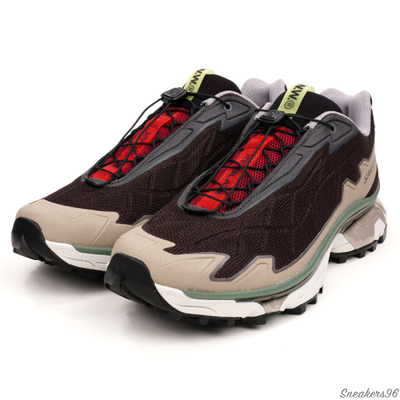 Salomon XT-Slate Wood Brown/Коричневые Мужские (41-45)