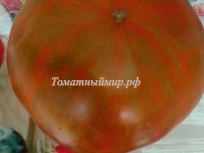 Томат Черная зебра (Black Zebra) США