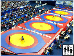 Помост для 4х борцовских ковров 16,8*58,8*0,8м DNN