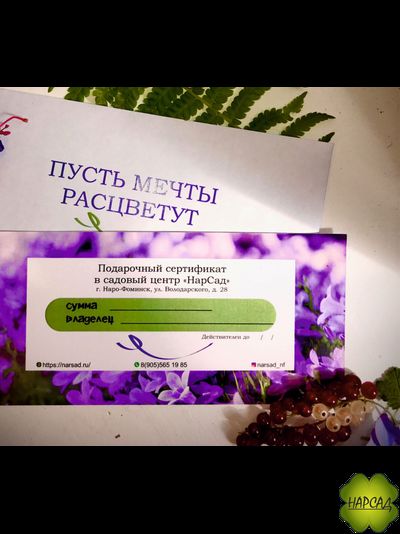 ПОДАРОЧНЫЙ СЕРТИФИКАТ НА 1000 РУБЛЕЙ
