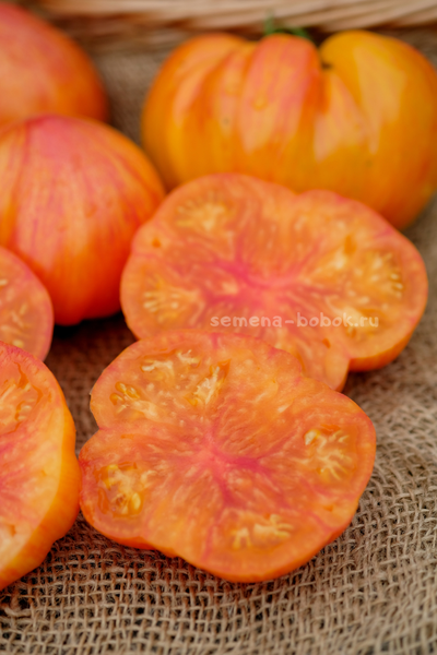 Томат Огненный Поцелуй Биколор с носиком, 10 шт