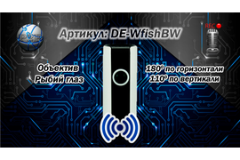DE-FishBW - панорамная WiFi видеокамера, купить на WiFisec.ru