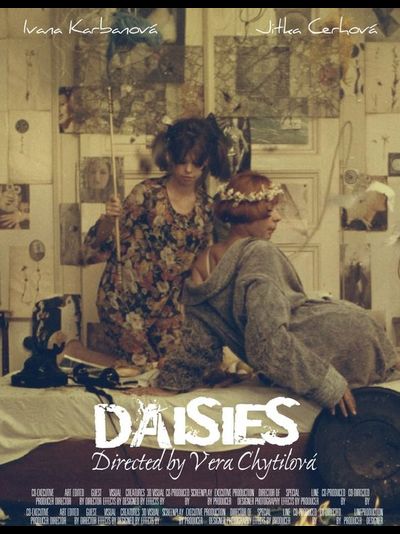 Moth and Rabbit DAISIES