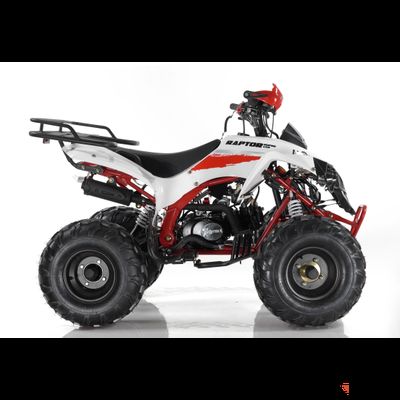 Квадроцикл MOTAX ATV Raptor Super LUX 125 Бензиновый