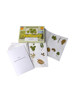 Гербарий "Морфология растений" (6 тем, 30 видов)