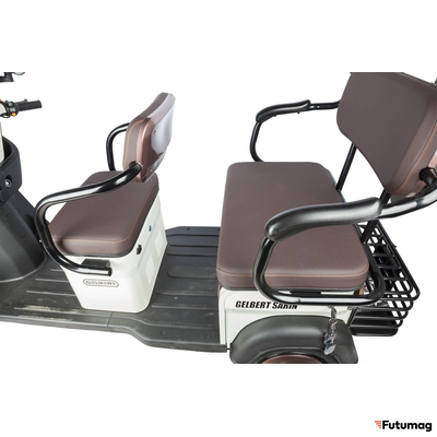 Электротрицикл Rutrike Gelbert Sarin 48V/60V 1000Вт коричнево-белый