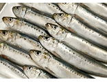 Сардина - иваси свежемороженая с головой