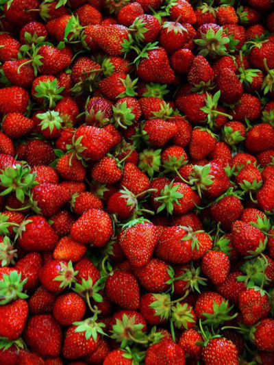 Набор вайнер и каттер "Чашелистики клубники"