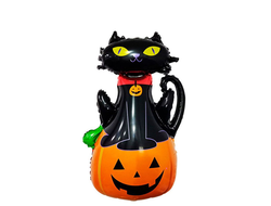 Кошка на тыкве