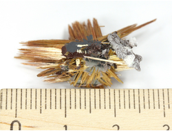 Редкость! Рутил свободного роста, сростки "звезды" золотистых игольчатых кристаллов на кристаллах гематита, Бразилия (30*18*9 мм, 1,95 г) №37912