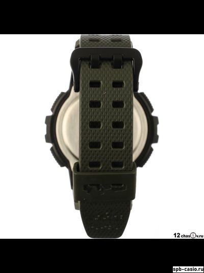 Часы Casio WS-1200H-3AVEF