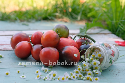 Томат Темная Галактика, 10 шт