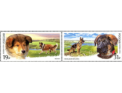 Выпуск по программе «Европа». Древние почтовые маршруты