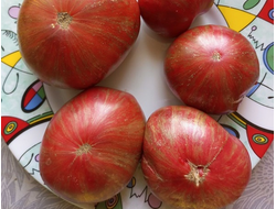 Томат гном Металлика (Dwarf Metallica)