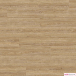 Декор ламината Haro Дуб Элеганза Пуро 541583 фронт