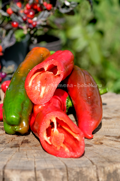 Перец сладкий Тронторолло, 10 шт