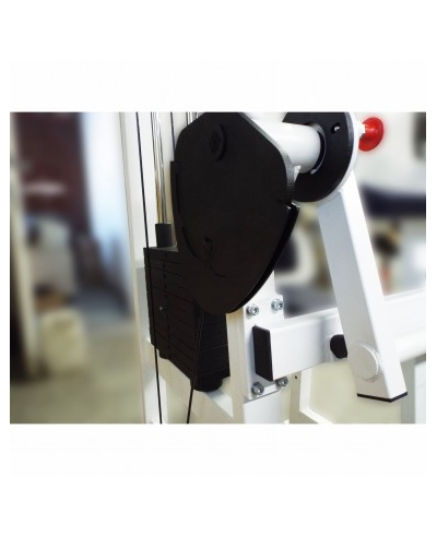 Бицепс-трицепс машина 2 в 1 60 кг AV248/80