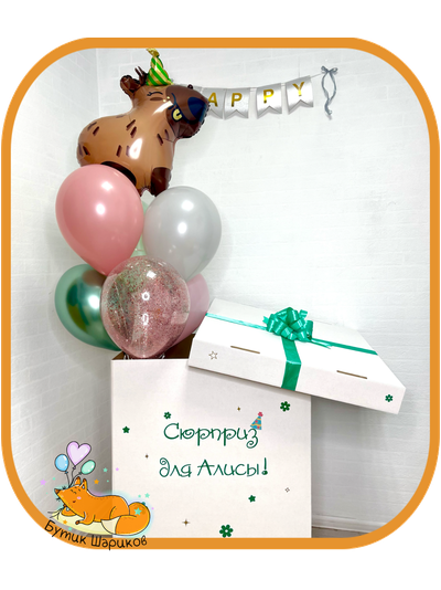 Набор «Капибар в коробке»