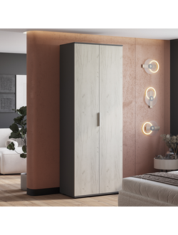 Шкаф 2-х створчатый Плаза ШК-04 (Мебелони)