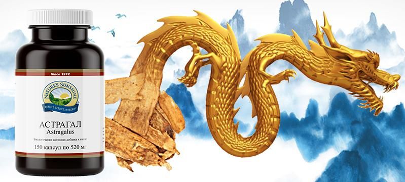Астрагал &ndash; китайский женьшень, уникальный продукт NSP.