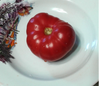 Семена томата Пьеретт