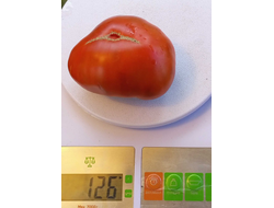 Томат Шоколадный Генри