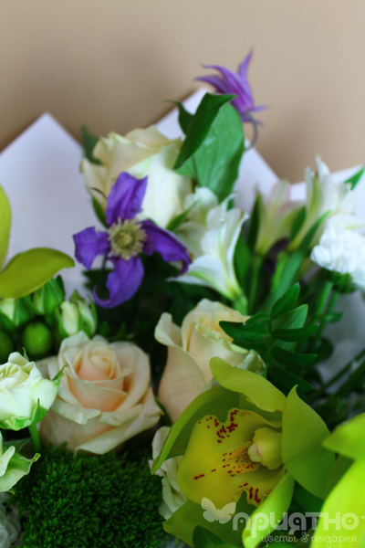 БУКЕТ ЦВЕТОВ № 483