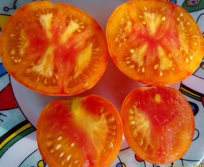 Томат Королева красоты (Beauty Queen)