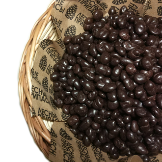 Клюква в шоколаде 200г