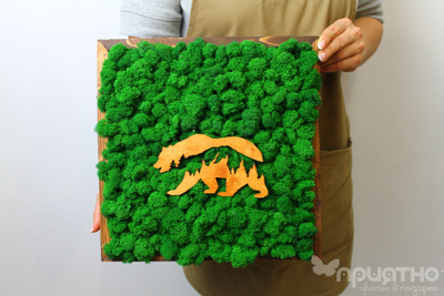 ЖИВАЯ ЭКО-КАРТИНА 1028