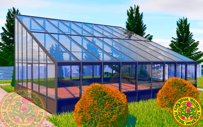 Односкатная зимняя теплица ДЖЕЙМС размером 10000 Х 8000 мм