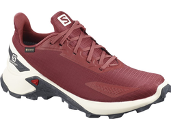 Кроссовки SALOMON ALPHACROSS BLAST GTX W Apple B  411065 (Размер: 5,5)