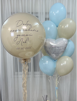 Набор шаров на выписку Тёплая встреча