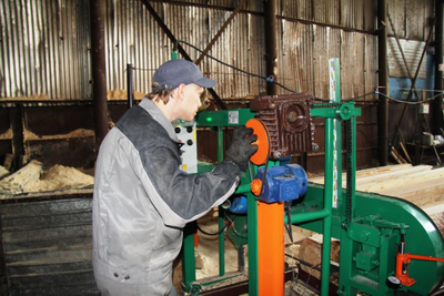 Пилорама Триумф (900) Premium-Пилорама ленточная Алтай -3 (900) Проф 15 Квт., от