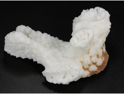 Коралл белый, коллекционный образец, Китай (66*51*30 мм, 42 г) №37699