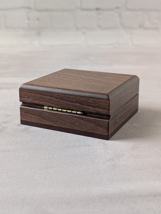 Стандартный футляр с петлёй на пружине