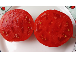 Томат Июнь розовый (June Pink)