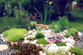 Создание рокариев, отсыпок и альпийских горок