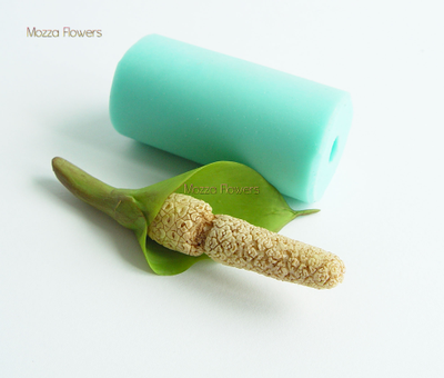 "Пестик долларового дерева (замиокулькаса)" Силиконовый молд