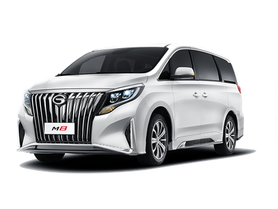 Шумоизоляция GAC Trumpchi M8 / ГАК Трампчи М8