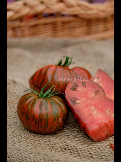 Томат Shake the Disease (Исцелись), 10 шт