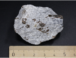 Ставролит, сросток кристаллов "косой крест" на сланце, Россия, Кольский п-ов (50*41*23 мм, 49 г) №26073