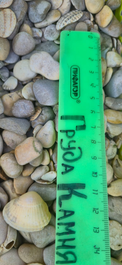 Морской Микс желтоватый