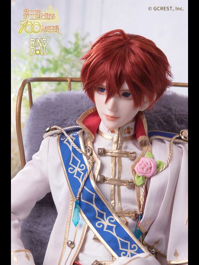 Кукла БЖД 1/3 Ави (Avi)