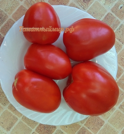 Томат Де Барао красный волгоградский (усл.)